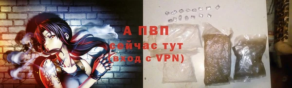 гидропоника Бородино
