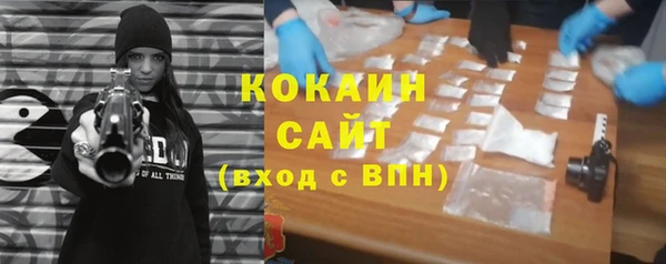 крисы Бронницы