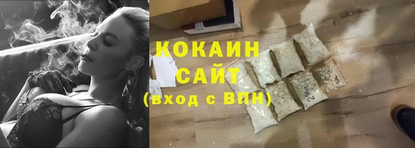 крисы Бронницы