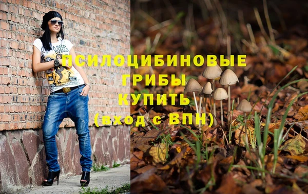 гидропоника Бородино