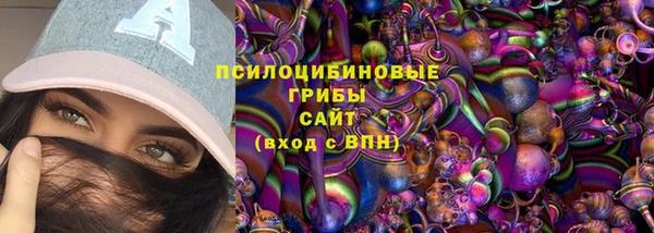 гидропоника Бородино