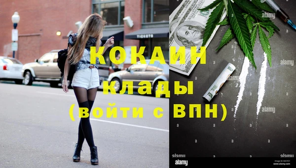 гидропоника Бородино