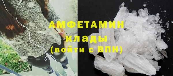прущие грибы Богородск