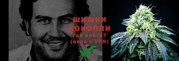 крисы Бронницы