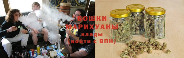 гидропоника Бородино