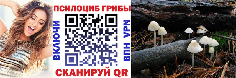 сколько стоит  Петрозаводск  KRAKEN зеркало  Галлюциногенные грибы мицелий 